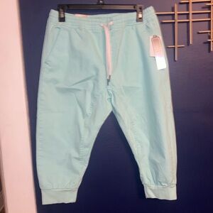 NWT men’s WT02 pants size L